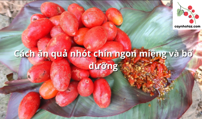 Cách ăn quả nhót chín ngon miệng và bổ dưỡng