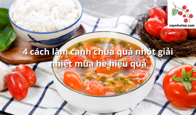 4 cách làm canh chua quả nhót giải nhiệt mùa hè hiệu quả