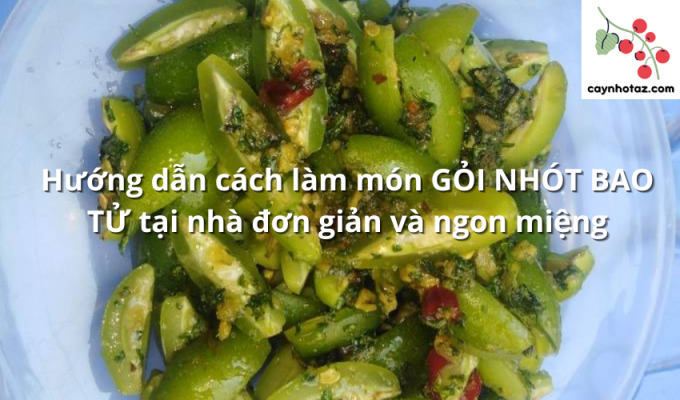 Hướng dẫn cách làm món GỎI NHÓT BAO TỬ tại nhà đơn giản và ngon miệng