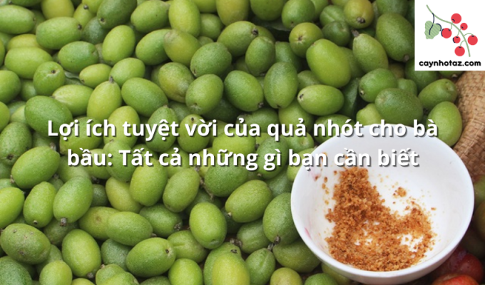 Lợi ích tuyệt vời của quả nhót cho bà bầu: Tất cả những gì bạn cần biết