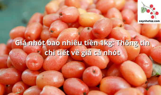 Giá nhót bao nhiêu tiền 1kg: Thông tin chi tiết về giá cả nhót