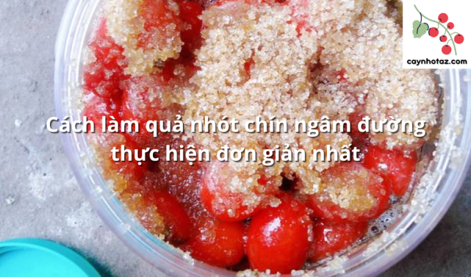 Cách làm quả nhót chín ngâm đường thực hiện đơn giản nhất